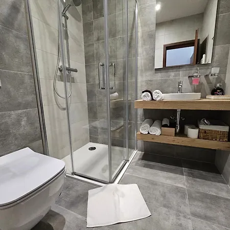 Apartament Budinski & Wellness *