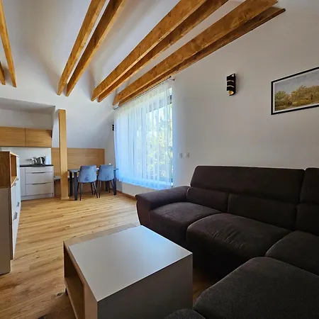 Budinski & Wellness Apartmán Liptovsky Mikulas