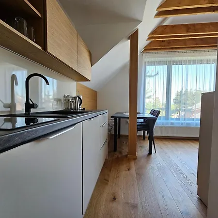 Apartament Budinski & Wellness *