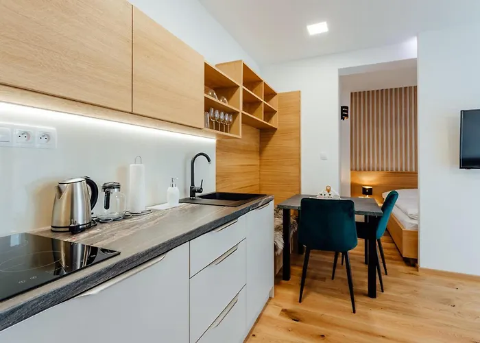 Budinski & Wellness Apartment *