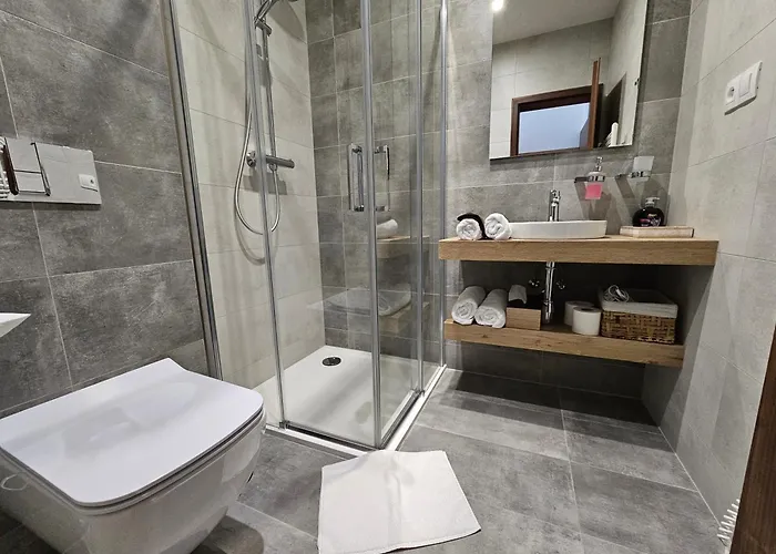Апартаменты Budinski & Wellness *