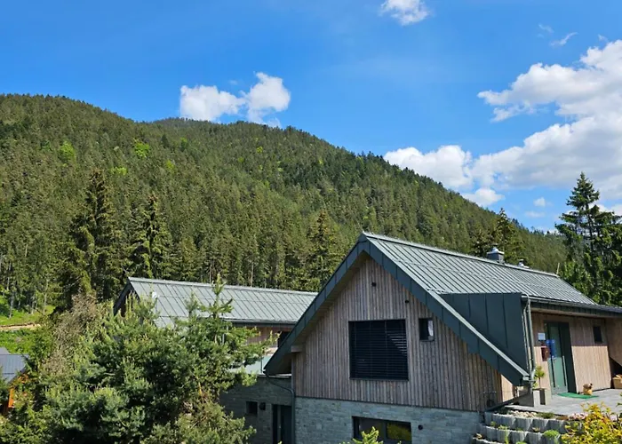 Budinski & Wellness Apartment