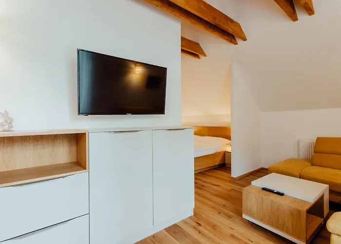 Apartment Budinski & Wellness *